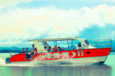 Low Price Whale Watching Excursions in Samana Dominican Republic.