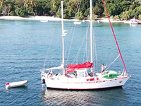 Sailing Catamaran Charter Tour in Samana Bay.